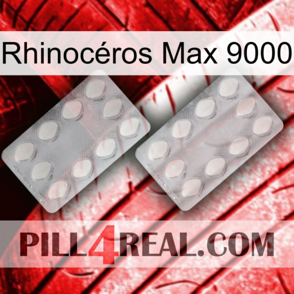 Rhinocéros Max 9000 17